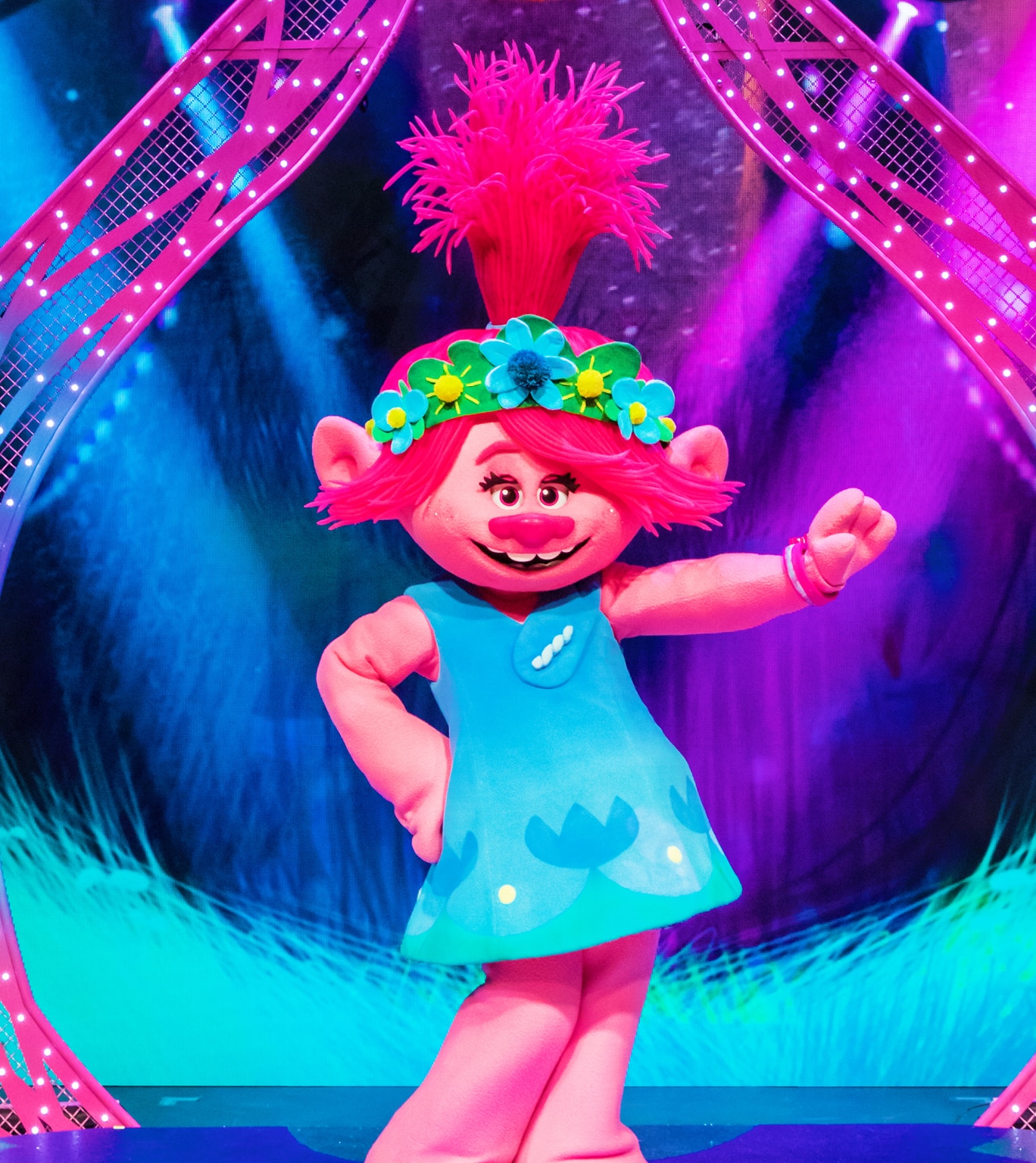 Queen Poppy/Gallery  Poppy and branch, Trolls movie, Dreamworks